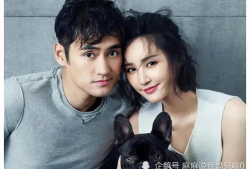 娱乐圈吃瓜爆料演员,揭秘明星幕后那些事儿