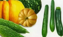 六点半吃瓜爆料,揭秘娱乐圈最新热点事件